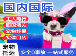 济宁大安机场物流国际宠物托运 【国